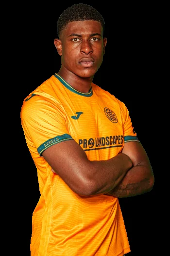 Tarik Gidaree