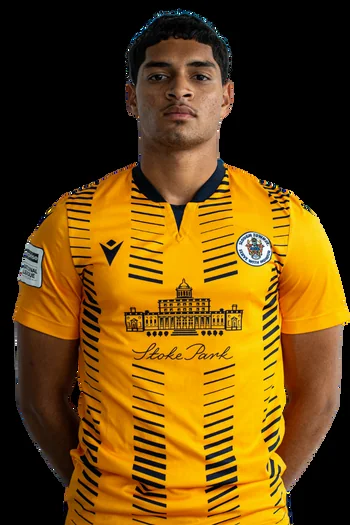 Milan Chogolzadeh