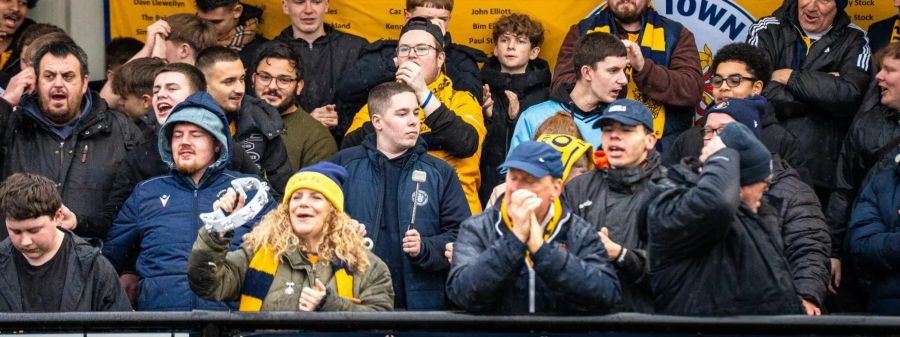 Preview: Horsham
